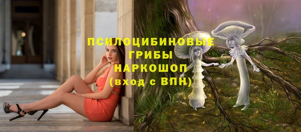 2c-b Новодвинск